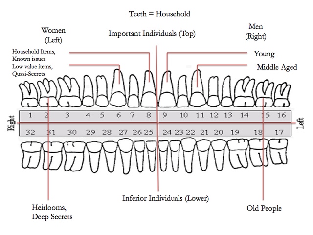 diagram for tooth loss guidelines